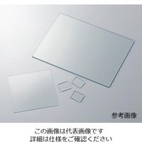 アズワン 導電性ガラス (FTOガラス) 100×100×2.2 3-3118-04 1セット(1枚)（直送品）