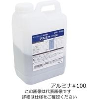 アネスト岩田 サンドブラスター用研磨材 アルミナ#100 2kg CHB-A1002 1個 3-7072-11（直送品）
