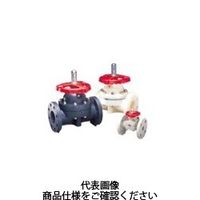 旭有機材 ダイアフラムポンプ ダイヤフラムバルブ V14MHUEF1020 1個（直送品）