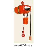 象印チエンブロック (二速)三相電気チェーンブロック 電気 チェーンブロック FB4ー0.9 FB4-00930 1台（直送品）