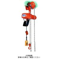 象印チエンブロック 単相 ギヤードトロリ結合式 (一速型)電気チェーンブロック アルファSGー016 ASG-K1630 1台（直送品）