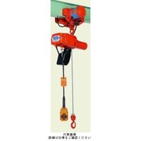 象印チエンブロック 単相 電気トロリ結合式 (一速型)電気チェーンブロック アルファHMー006 AHM-K0630 1台（直送品）