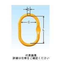 象印チエンブロック マスターリンク MFFー08 1ケ(1個)（直送品）