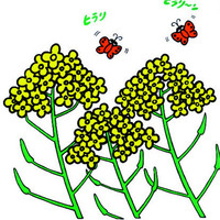 トーアン 仮設21 菜の花 450×450 31ー781 1セット(2枚)（直送品）