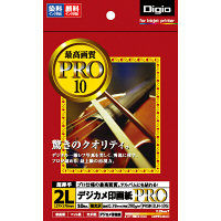 ナカバヤシ デジカメ印画紙PRO インクジェット 強光沢 2L 10枚 PRSK-2LH-10G 20個（直送品）