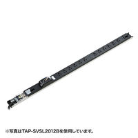 サンワサプライ 19インチサーバーラック用コンセント（30A） TAP-SVSL3012B20（直送品）