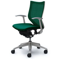 CP43DW FEF5 バロン チェア ローバック 固定肘 背スタンダード・座クッション シルバー×ホワイト ダークグリーン（直送品）