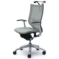 CP46BS FDF3 バロン チェア ハイバック ランバーサポートハンガー 固定肘 背スタンダード座クッション ポリッシュ×ブラック ライトグレー（直送品）