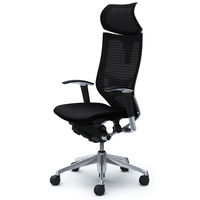 CP81BS FDF1 バロン チェア EXハイバック 可動ヘッドレスト 可動肘 背スタンダード・座クッション ポリッシュ×ブラック ブラック（直送品）