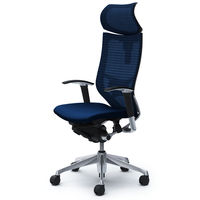 CP81BS FDF4 バロン チェア EXハイバック 可動ヘッドレスト 可動肘 背スタンダード・座クッション ポリッシュ×ブラック ダークブルー（直送品）