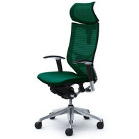 CP81BS FEF5 バロン チェア EXハイバック 可動ヘッドレスト 可動肘 背スタンダード・座クッション ポリッシュ×ブラック ダークグリーン（直送品）