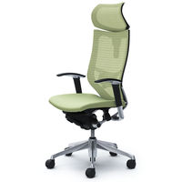 CP81BS FEF6 バロン チェア EXハイバック 可動ヘッドレスト 可動肘 背スタンダード座クッション ポリッシュ×ブラック ピスタチオグリーン（直送品）