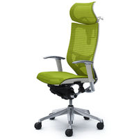 CP82AZ FDH6 バロン チェア EXハイバック 可動ヘッドレスト 可動肘 背・座スタンダード ポリッシュ×ホワイト ライムグリーン（直送品）