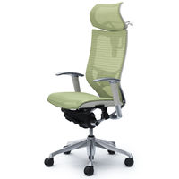 CP82AZ FEH6 バロン チェア EXハイバック 可動ヘッドレスト 可動肘 背・座スタンダード ポリッシュ×ホワイト ピスタチオグリーン（直送品）