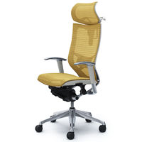 CP82AZ FEH7 バロン チェア EXハイバック 可動ヘッドレスト 可動肘 背・座スタンダード ポリッシュ×ホワイト ベージュ（直送品）