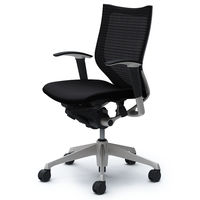 CP83DR FDF1 バロン チェア ローバック 可動肘 背スタンダード・座クッション シルバー×ブラック ブラック（直送品）