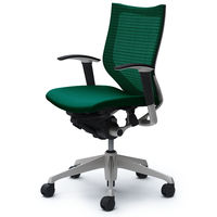 CP83DR FEF5 バロン チェア ローバック 可動肘 背スタンダード・座クッション シルバー×ブラック ダークグリーン（直送品）