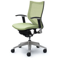 CP83DR FEF6 バロン チェア ローバック 可動肘 背スタンダード・座クッション シルバー×ブラック ピスタチオグリーン（直送品）