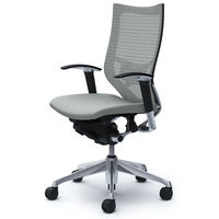 CP85BS FDF3 |オカムラ バロン チェア ハイバック ランバーサポート 可動肘 背スタンダード・座クッション ポリッシュ×ブラック ライト （直送品）