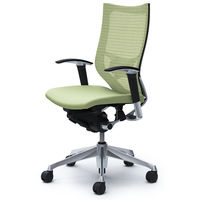 CP85BS FEF6 |オカムラ バロン ハイバック ランバーサポート 可動肘 背スタンダード・座クッション ポリッシュ×ブラック ピスタチオグリ （直送品）