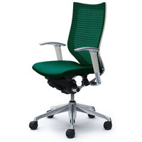 CP85BW FEF5 |オカムラ バロン チェア ハイバック 可動肘 背スタンダード・座クッション ポリッシュ×ホワイト ダークグリーン 1脚（直送品）