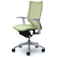 CP85BW FEF6 |オカムラ バロン チェア ハイバック 可動肘 背スタンダード・座クッション ポリッシュ×ホワイト ピスタチオグリーン 1脚（直送品）