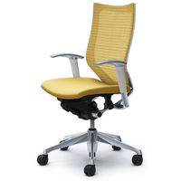 CP85BW FEF7 |オカムラ バロン チェア ハイバック 可動肘 背スタンダード・座クッション ポリッシュ×ホワイト ベージュ 1脚（直送品）