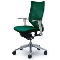 CP85BZ FEF5 |オカムラ バロン ハイバック ランバーサポート 可動肘 背スタンダード・座クッション ポリッシュ×ホワイト ダークグリーン （直送品）