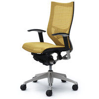 CP85CS FEH7 |オカムラ バロン チェア ハイバック ランバーサポート 可動肘 背・座スタンダード シルバー×ブラック ベージュ 1脚（直送品）