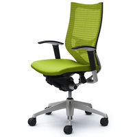 CP85DS FDF6 |オカムラ バロン チェア ハイバック ランバーサポート 可動肘 背スタンダード・座クッション シルバー×ブラック ライムグ （直送品）