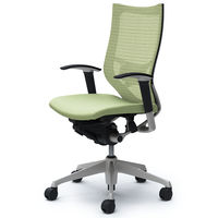 CP85DS FEF6 |オカムラ バロン ハイバック ランバーサポート 可動肘 背スタンダード・座クッション シルバー×ブラック ピスタチオグリー （直送品）