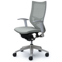 CP85DZ FDF3 |オカムラ バロン チェア ハイバック ランバーサポート 可動肘 背スタンダード・座クッション シルバー×ホワイト ライトグ （直送品）