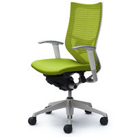 CP85DZ FDF6 |オカムラ バロン チェア ハイバック ランバーサポート 可動肘 背スタンダード・座クッション シルバー×ホワイト ライムグ （直送品）