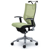 CP86AS FEH6 |オカムラ バロン ハイバック ランバーサポートハンガー 可動肘 背・座スタンダード ポリッシュ×ブラック ピスタチオグリー （直送品）