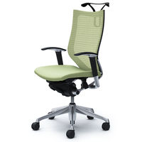 CP86BR FEF6 |オカムラ バロン チェア ハイバック ハンガー 可動肘 背スタンダード・座クッション ポリッシュ×ブラック ピスタチオグリ （直送品）