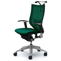 CP86DS FEF5 |オカムラ バロン ハイバック ランバーサポートハンガー 可動肘 背スタンダード座クッション シルバー×ブラック ダークグリ （直送品）