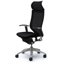 CP87DR FDF1 バロン チェア EXハイバック 固定ヘッドレスト 可動肘 背スタンダード・座クッション シルバー×ブラック ブラック（直送品）
