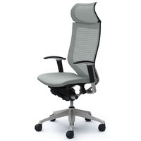 CP87DR FDF3 バロン チェア EXハイバック 固定ヘッドレスト 可動肘 背スタンダード・座クッション シルバー×ブラック ライトグレー（直送品）