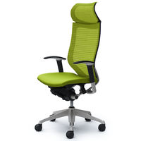 CP87DR FDF6 バロン チェア EXハイバック 固定ヘッドレスト 可動肘 背スタンダード・座クッション シルバー×ブラック ライムグリーン（直送品）