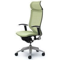 CP87DR FEF6 バロン チェア EXハイバック 固定ヘッドレスト 可動肘 背スタンダード・座クッション シルバー×ブラック ピスタチオグリーン（直送品）