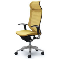 CP87DR FEF7 バロン チェア EXハイバック 固定ヘッドレスト 可動肘 背スタンダード・座クッション シルバー×ブラック ベージュ（直送品）