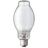 レディオック LEDライトバルブG （外灯） LDTS29N-G 岩崎電気（直送品）