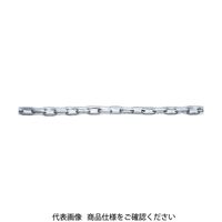 トラスコ中山 TRUSCO チューブ保護ステンレスカットチェーン 1.2mmX3m TSCV-123 1本 780-4008（直送品）