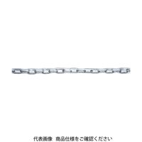 トラスコ中山 TRUSCO チューブ保護ステンレスカットチェーン 4.0mmX5m TSCV-405 1本 780-4253（直送品）