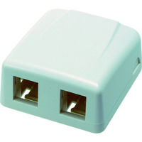 スリーエム ジャパン コーニング 2ポート露出型アウトレット VOL-SMB-2TJ 1個 787-6777（直送品）