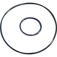 樹脂製フィルターバッグ用ハウジング（フランジ接続タイプ） Oリングセット