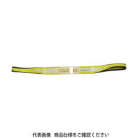 SPANSET SECUTEX セキュフレックスSX-3T 4M PB-3000-SX-4000MM 793-2260（直送品）