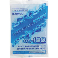 JEJアステージ クールインパックソフト CSー100 CS-100 1個 819-3426（直送品）