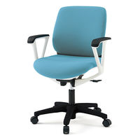 【設置込】イトーキ トルテRチェア ローバック ハンガーなし ループ肘 キャスター脚 座面回転 ホワイトW/ターコイズブルー KZ-246DL-W9 （直送品）
