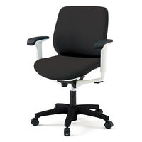 【設置込】イトーキ トルテRチェア ローバック ハンガーなし アジャスタブル肘 キャスター脚 座面回転 ホワイトW/ブラックT KZ-247DL-W （直送品）